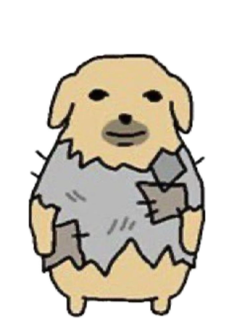 Broke Dog in patched clothes